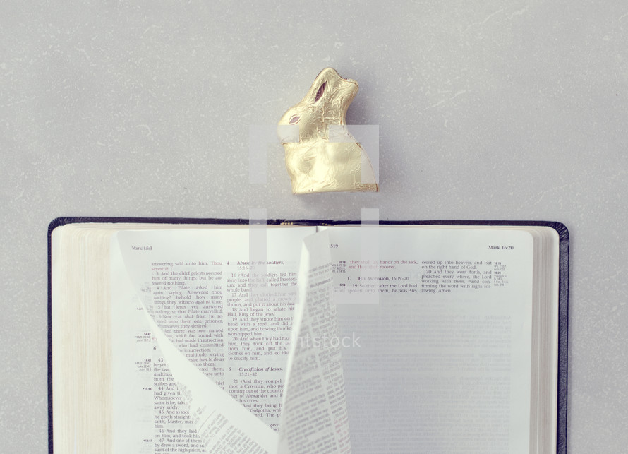candy Easter bunny on the pages of a Bible 