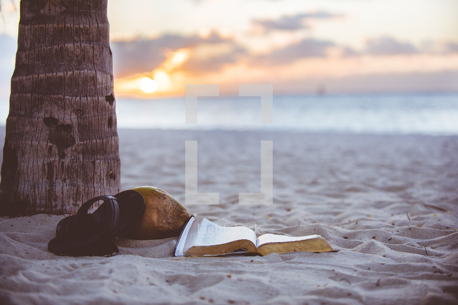 opened Bible under a coconut palm on a beach 