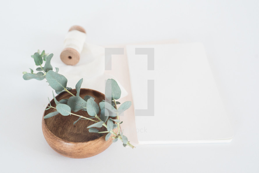 eucalyptus twig in a bowl and stationary 