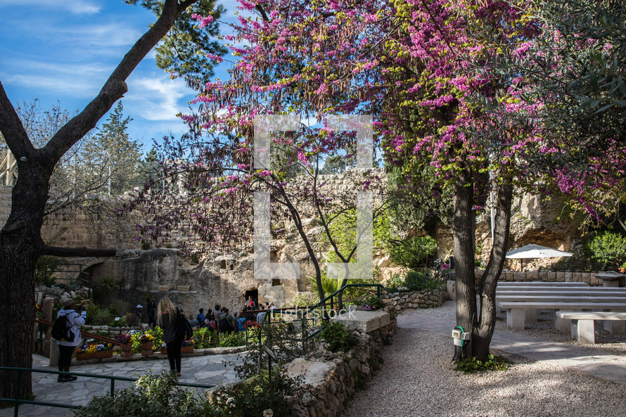 a fuchsia tree and benches at a visitors area in Jerusalem 