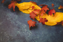 red fall leaves and golden scarf on a gray background 