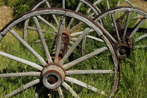 Wagon wheels in long grass.