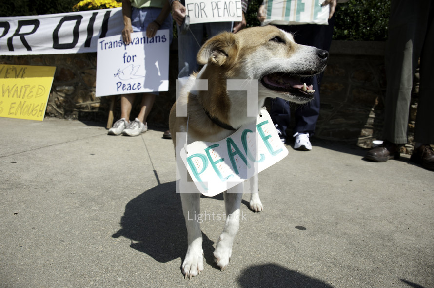 Men, women and dog protesting wars