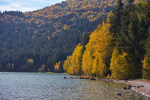 autumn lake shore 