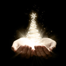 cup hands holding a Christmas tree of light
