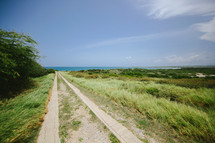 dirt road leading to the ocean