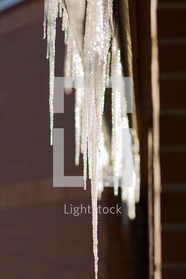 hanging icicles 