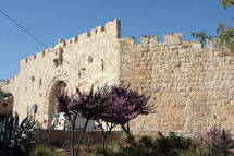 Zion Gate 
