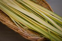 palm fonds in a straw basket 