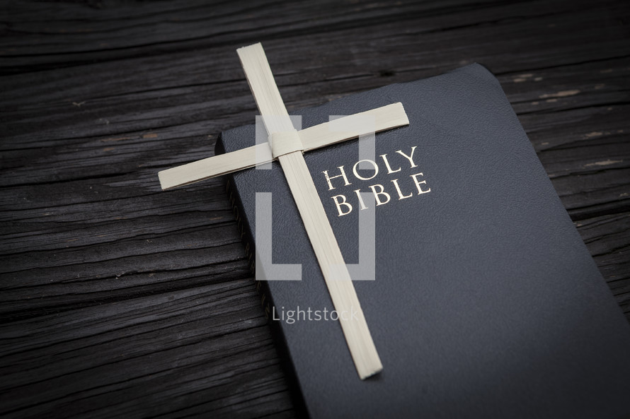 Bible with Palm Cross
