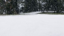 Slow motion of snow falling on the ground in a forest