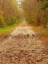 autumn trail 