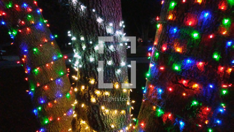 A trio of three trees clustered together light up the night sky with bright colored Christmas lights strung around tree trunks to bring some Christmas cheer, color and joy to help celebrate the Christmas holidays. 