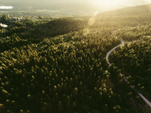 aerial view over an evergreen forest and highway 