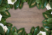 magnolia leaves frame 