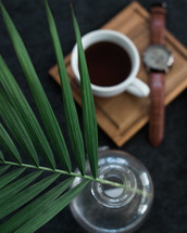 A sprig of leaves in a vase next to a cup of coffee and a wristwatch on wooden board.