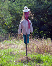 scarecrow in a field 