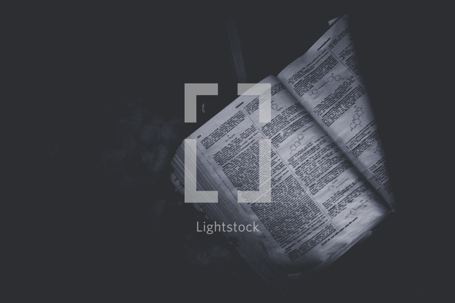 pages of a Bible in darkness 