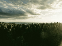 cloudy sky over an evergreen forest 