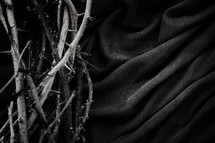 branches of thorns on cloth.