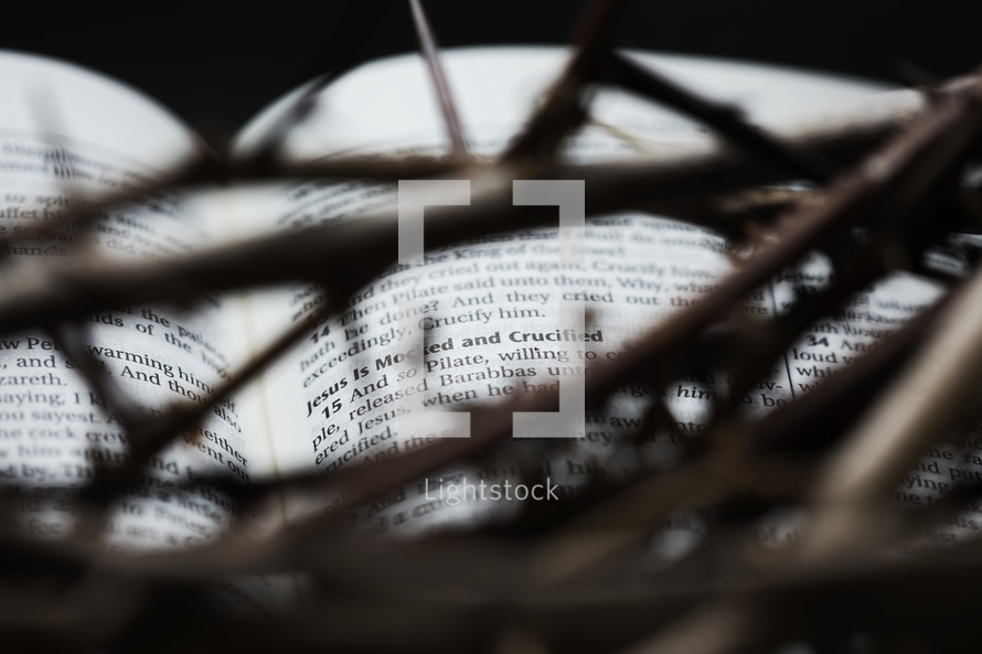 a crown of thorns over the pages of a Bible.