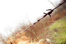 barbed wire and a field