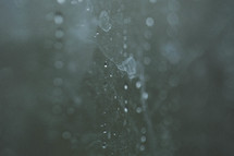 wet glass 