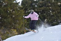 Freestyle Skiing Skills