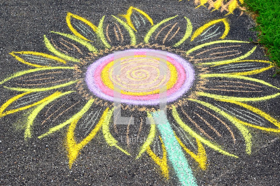 flower in sidewalk chalk 