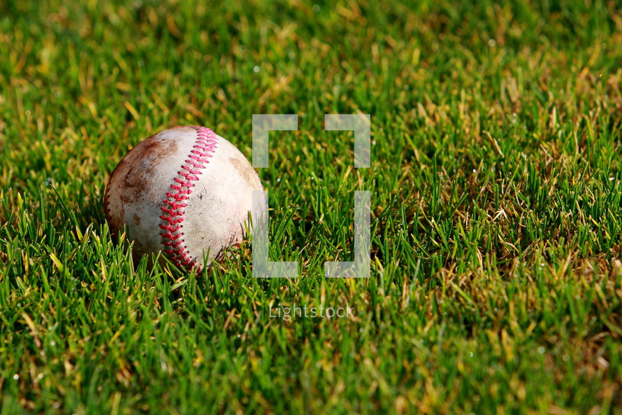 Dirty baseball in the grass.