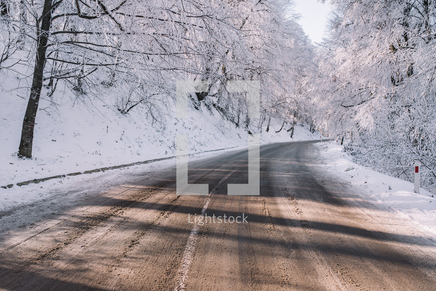 Snowy forest and frozen road 