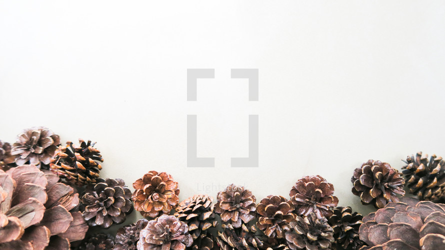 pine cone border on a white background 