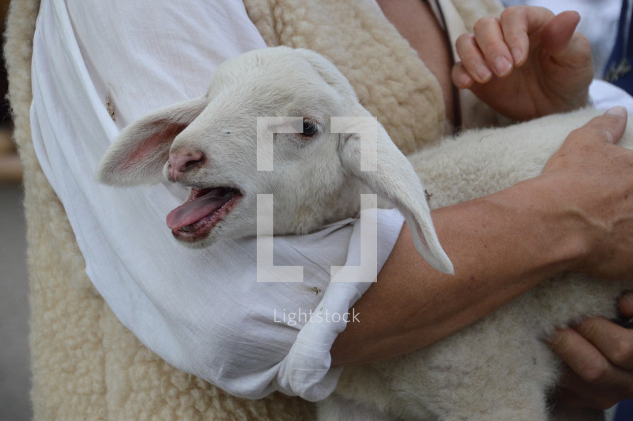 shepherd holding a lamb