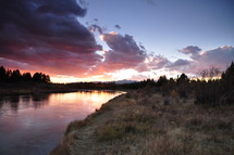 a river bank at dusk 