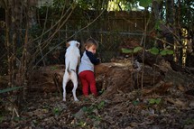 a toddler boy and puppy looking over a fence 