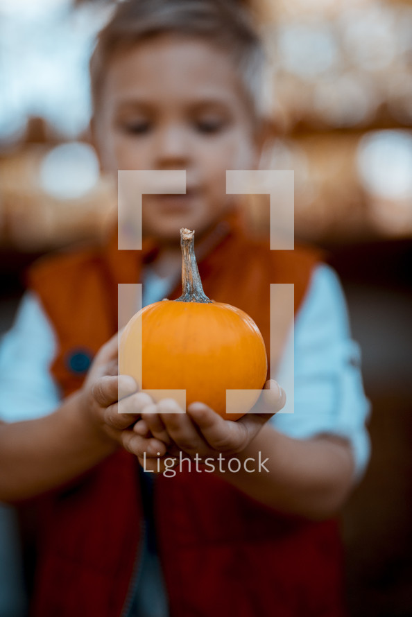 toddler boy holding a pumpkin 