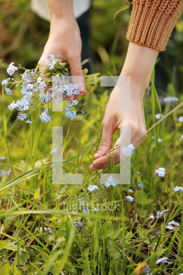 young woman plucks wild blue flowers in the green park on summer sunny day. girl with curly hair in dress makes bouquet of beautiful flowers. vertical photo.