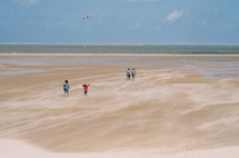 Kite and walking people on a sandy beach