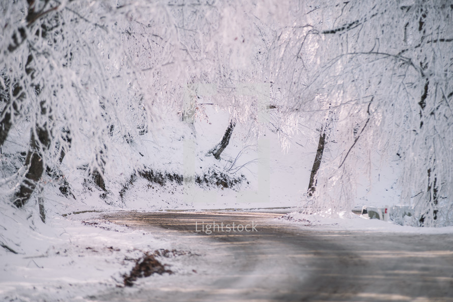 Frozen road in the snowy forest