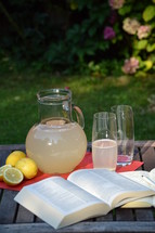 Bible study in the summertime – outside in the garden with fresh self made lemonade.  