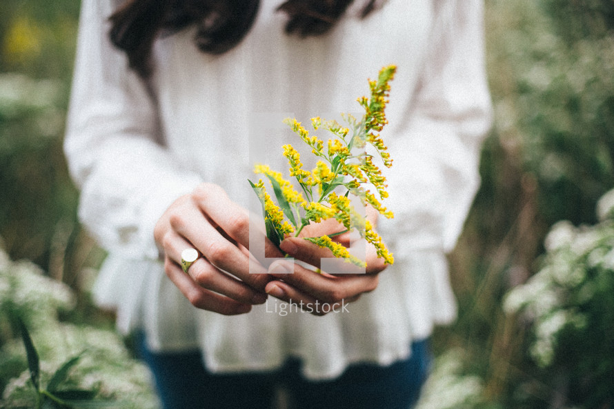 hands of a woman holding picked flowers 