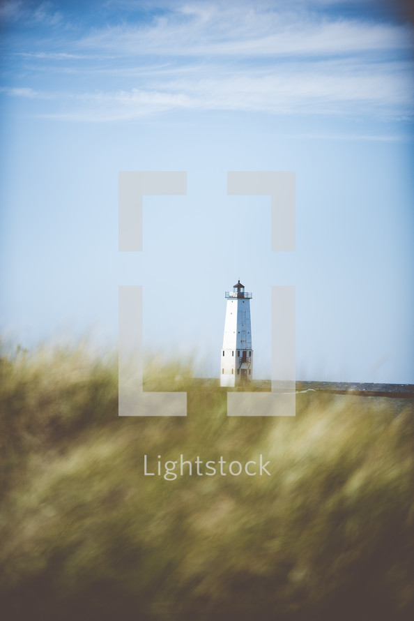 lighthouse and tall grasses 