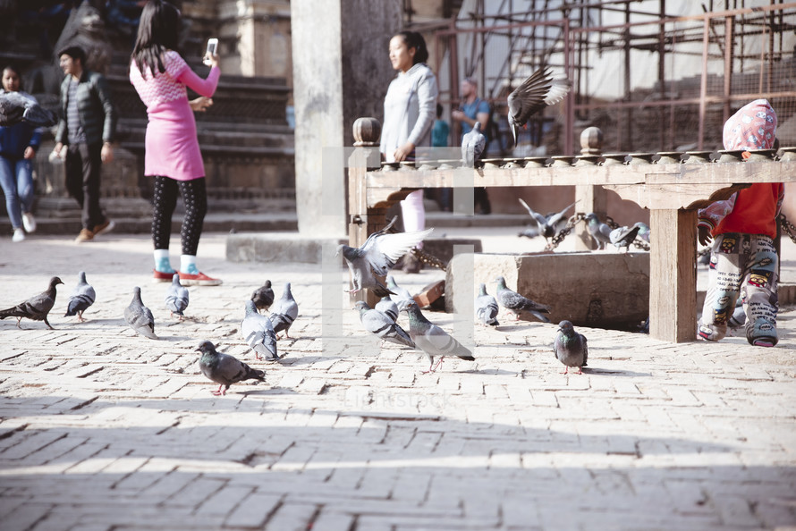 pigeons in a courtyard in Tibet 