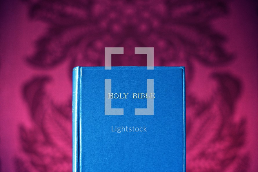 Holy Bible cover 