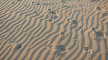 Footprints on the golden beach