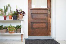 shelf of potted plants by a front door 