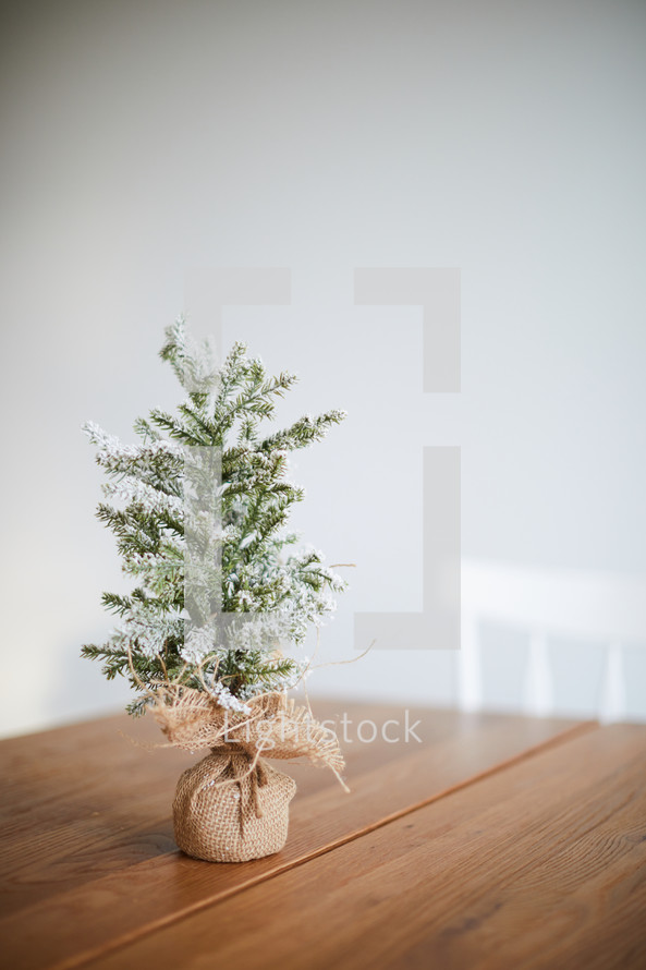 miniature Christmas tree on a wood table 