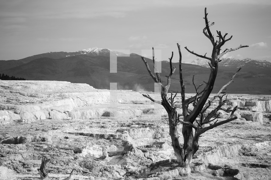 desert landscape in black and white 