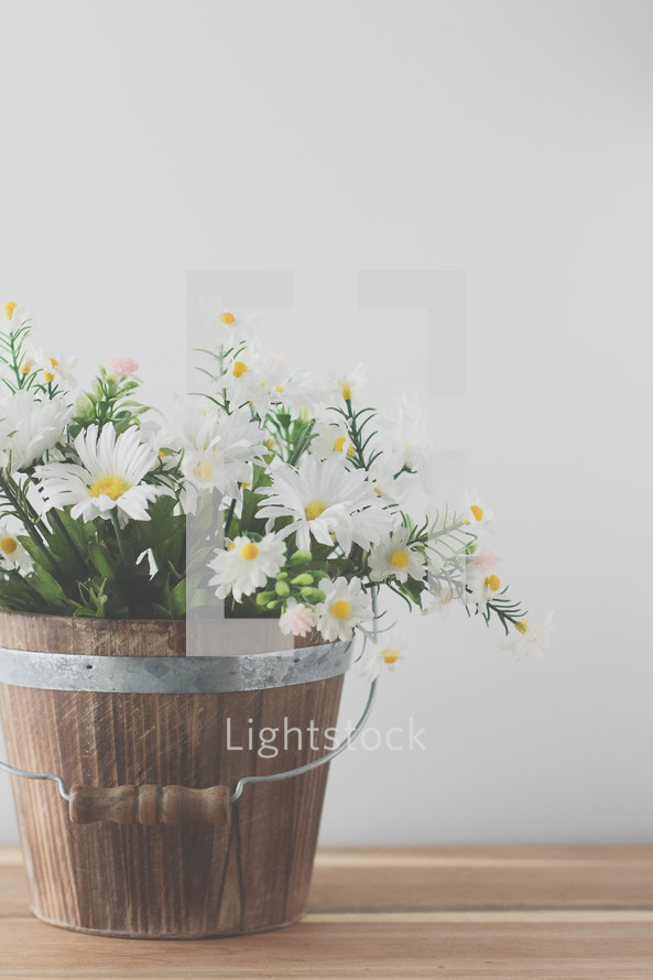 a wooden bucket full of spring daisies 