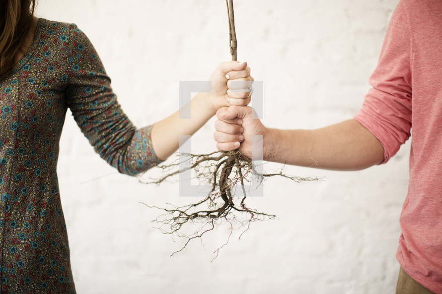 man and woman holding on to roots 